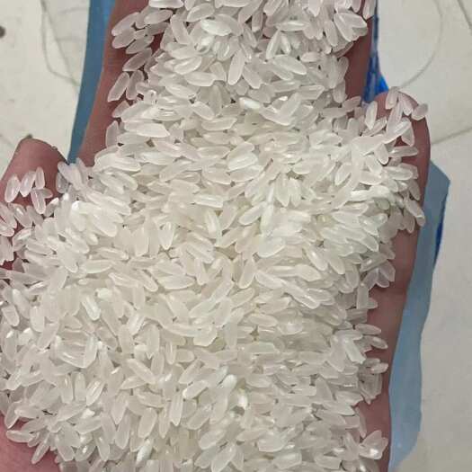 五常市优质东北稻花香
