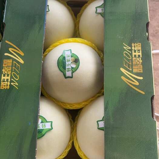 莘县玉菇甜瓜 冰激淋玉菇产地直发 诚信代收一件代发