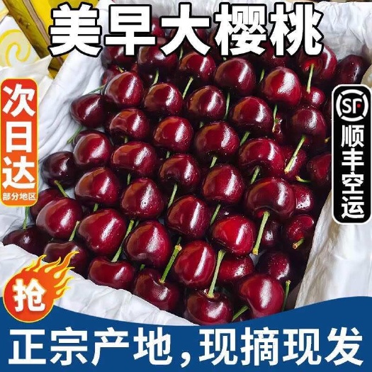 秦皇岛樱桃新鲜水果山海关大樱桃应季水果车厘子孕妇儿整箱现货顺丰包邮