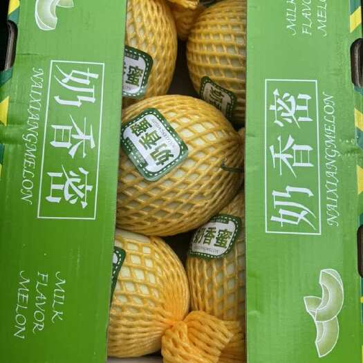 莘县玉菇甜瓜