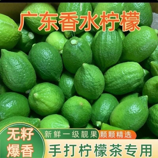 化州市广东香水柠檬新鲜采摘支持一件代发代办快递发货