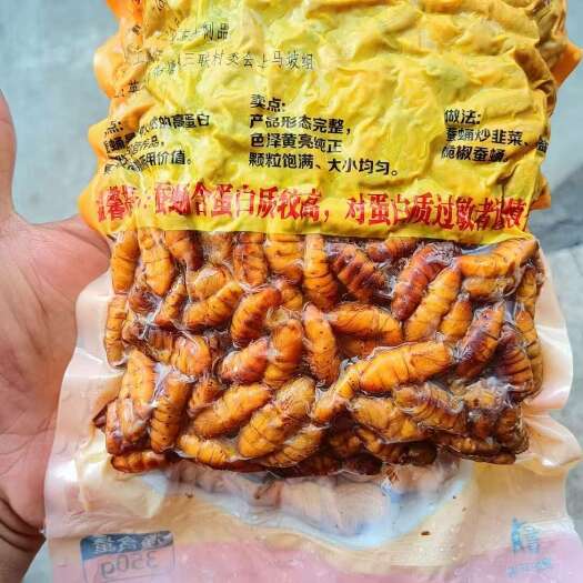 佛山蚕蛹 速冻 金丝蛹 蛹桑蚕蛹特色营养食材宵夜档 油炸