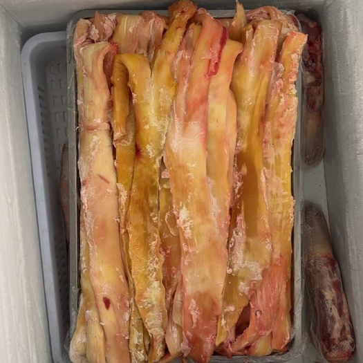 精修大公牛黄牛牛板筋