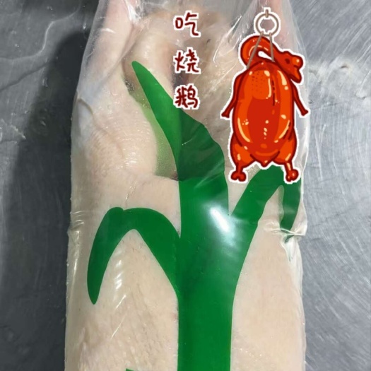 肥东县优质鹅体 烧鹅专用 包邮发货