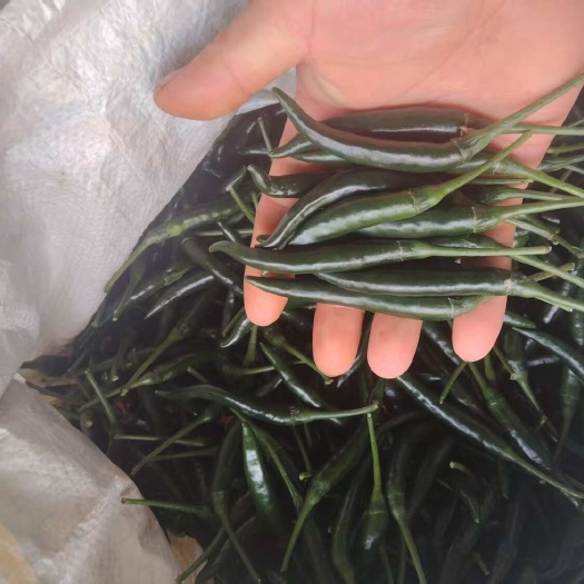 威宁县小米辣椒