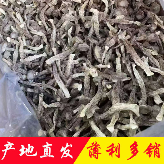 鹿茸菇产地直销批发 烘干脆脆菇浓香切根蘑菇干货土特产食用菌