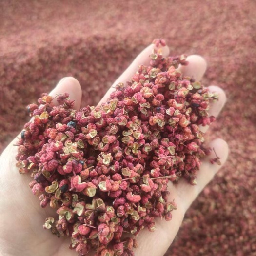 富平县陕西富平一级大红袍干花椒产地直发渭南优质香辛料