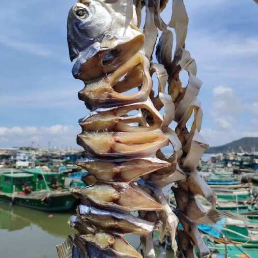 遂溪县广东产地金鲳鱼干海味干货 批发 饭店 零售