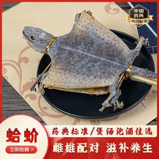 蛤蚧中药材蛤价一对干货 蛤蚧泡酒 批发补肺益肾纳气助阳益精