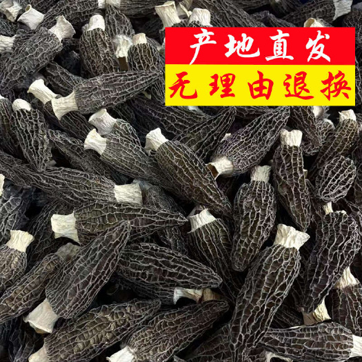 II产地直销批发 羊肚菌干货新鲜烘干头茬厚肉羊肚菇菌菇土特产
