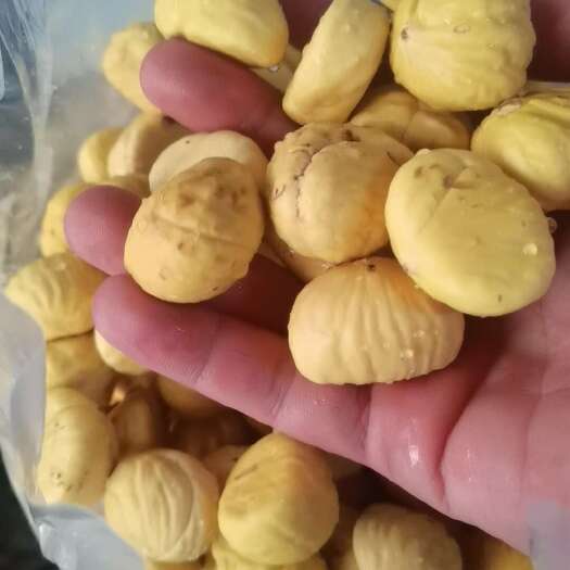 信宜市精品油栗仁
