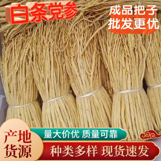 白条党参