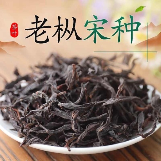 潮州凤凰单枞茶潮州高山春茶乌岽宋种炭焙浓香型乌龙茶叶