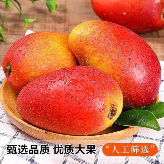 海南贵妃芒新鲜芒果水果当季树上熟红金龙辣椒甜心芒大果