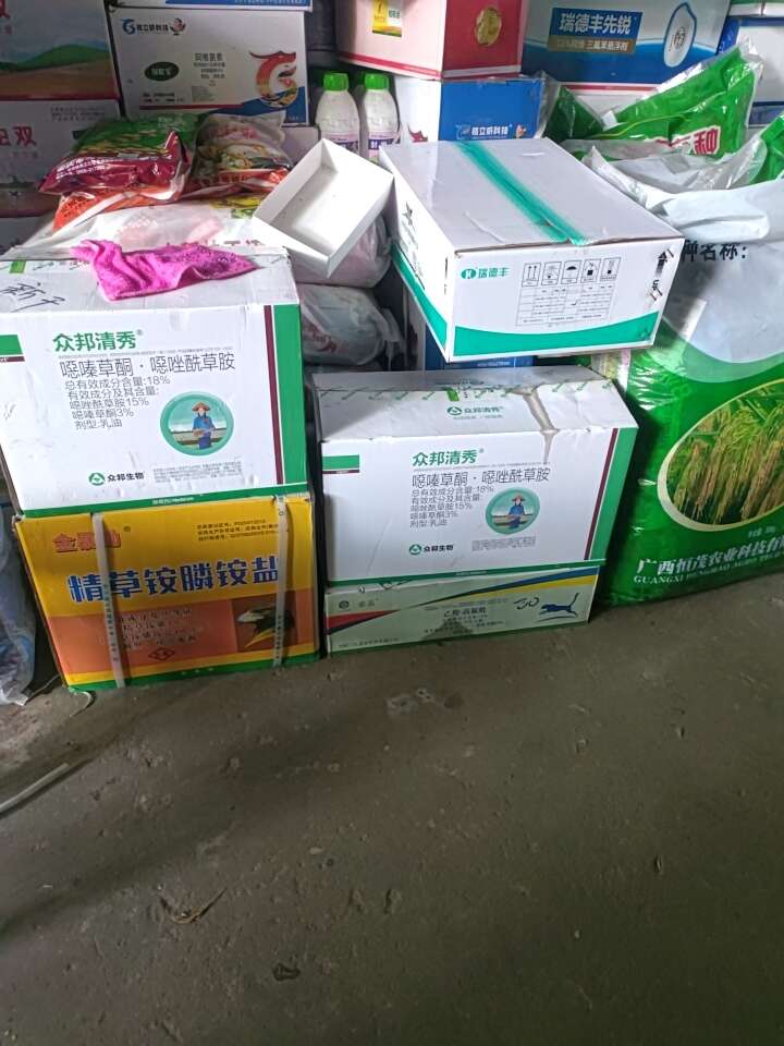 众邦清秀噁嗪草酮·噁唑酰草胺+千稗锋氰氟草脂抗性稗草千金全除