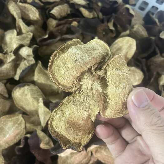 江门新会陈皮～老陈皮～2018年～靓陈皮～