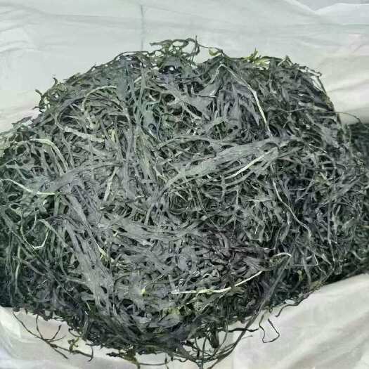 成都圈圈海带丝！！粉丝 早市反馈 火爆热卖中找不到好产品！不妨试