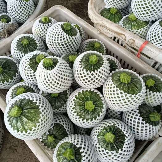 峨眉山市嫩南瓜
