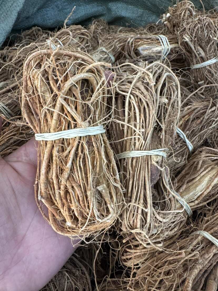 昆明云南昆明官渡区优质五指毛桃中药材根茎类干货批发零售