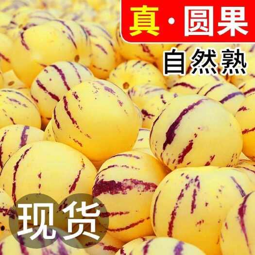 昆明云南人参果 产地直供