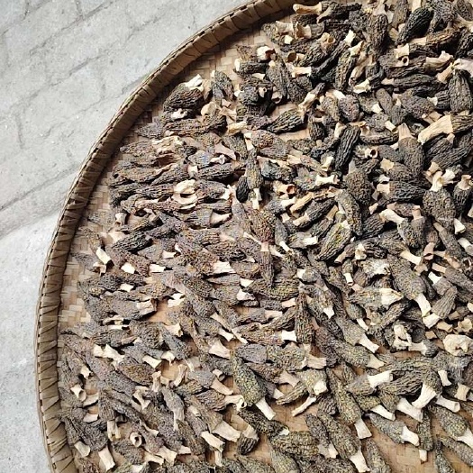 2025年新出羊肚菌干品