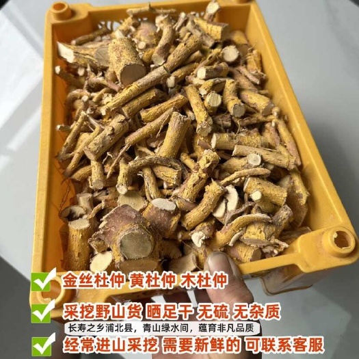 黄杜仲滑木头黄脚鸡金丝杜仲土杜仲丝棉木干品中药材