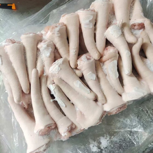 商丘肥猪中尾