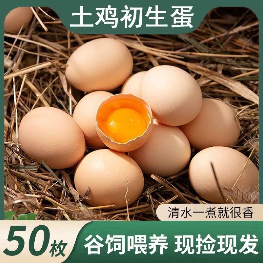 邯郸正宗土鸡蛋农家散养新鲜正宗草鸡蛋笨鸡蛋外虫草蛋月子蛋土鸡蛋