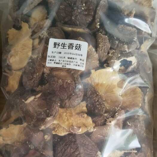 佛山仿野生香菇