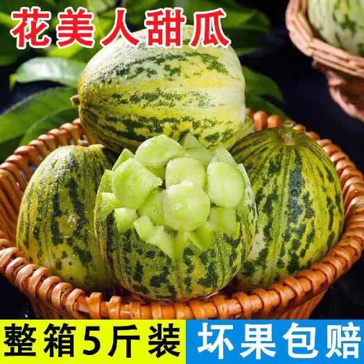 山东直发新鲜花美人甜瓜现摘现发甘甜可口果肉细腻