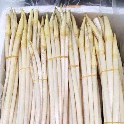 常宁市藕尖，田间美味