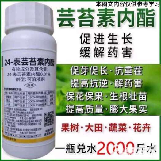 24表芸苔素内脂，调节生长保花保果 膨大果实叶片浓绿根系发达