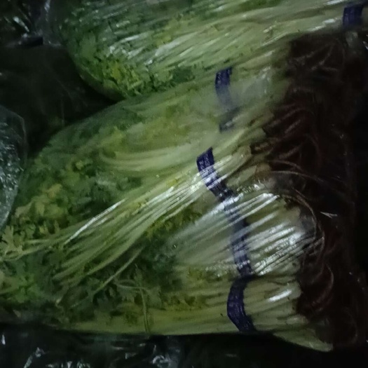 芹菜大优惠，总共4000斤左右