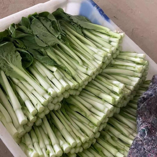 白菜苔