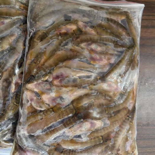 钢鳅鱼，红尾巴鱼