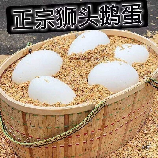 12枚装狮头鹅新鲜农家散养土大鹅蛋去胎毒大号80-120