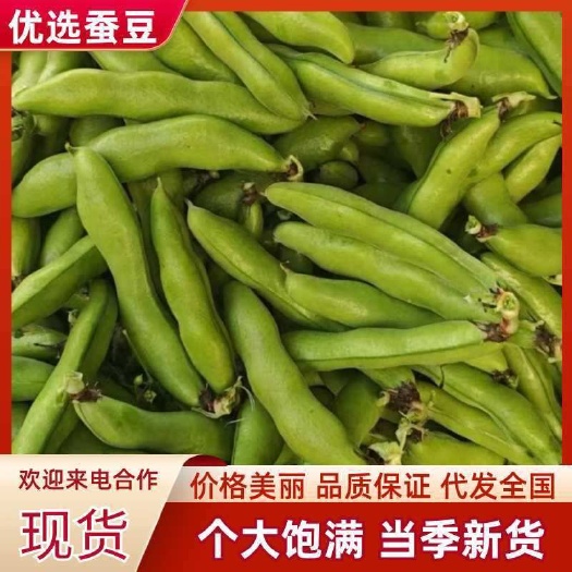芜湖现摘现发新鲜蚕豆胡豆当季新鲜蔬菜兰花豆荚时令罗汉倭豆带壳