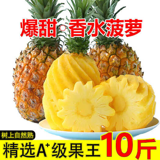 广州【香水菠萝】广东徐闻菠萝大菠萝新鲜当季应季大果水果新鲜菠萝