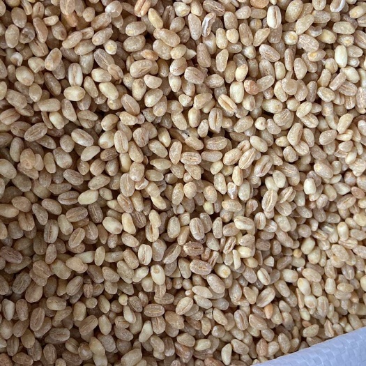麦仁