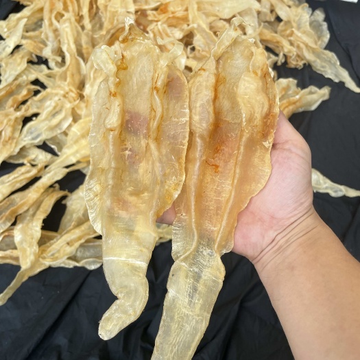广州北海母 北海胶 原装北海鱼胶花胶 自用花胶