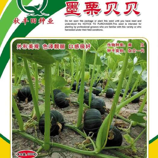 固阳县厂家直发外观漂亮品质超群丰产稳产墨栗贝贝   贝贝南瓜种子