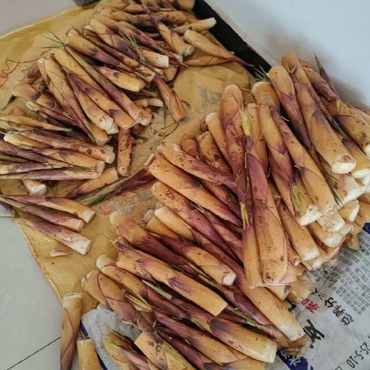 苦笋    量大优惠