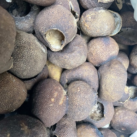 瓮安县陈皮(柑皮)制茶柑