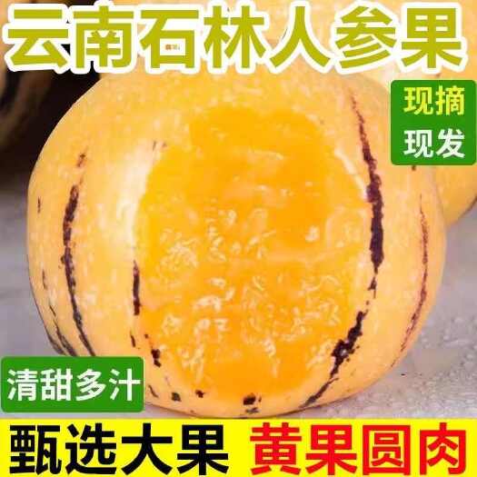 昆明云南人参果专业代发欢迎各大平台商家对接