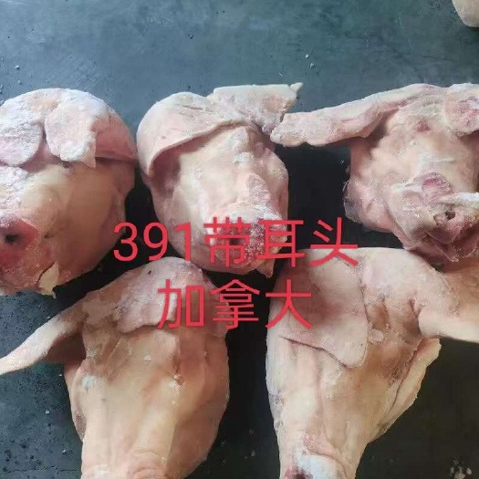 上海上海港391头