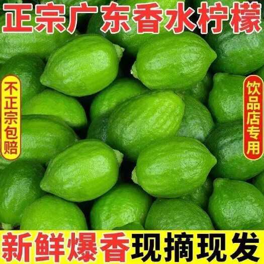 徐闻县广东湛江徐闻县新鲜采摘香水柠檬柑橘水果批发零售