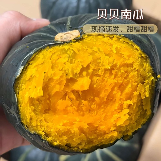 济宁正品贝贝南瓜板栗味迷你小南瓜粉糯香甜软孕妇宝宝辅食