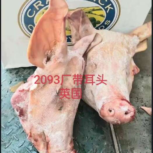 天津天津港2093头