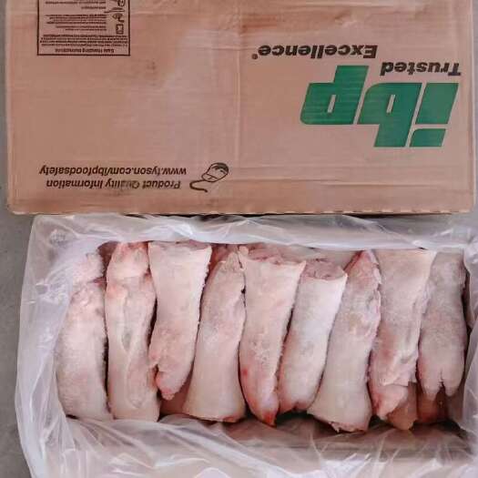 郑州244光板猪脚