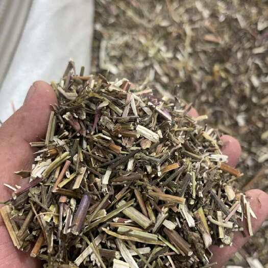 荆芥切断